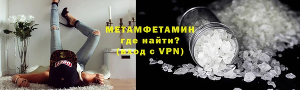 шишки Абаза