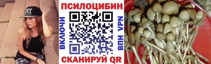 наркота Сухой Лог Псилоцибиновые грибы MAGIC MUSHROOMS